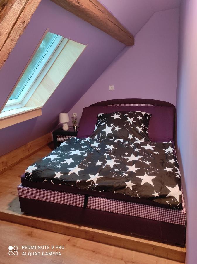 Apartman Sumava U Rybaku Volenice  Экстерьер фото